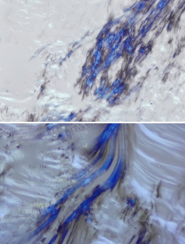 72 Unbelievable Microscope Images That Look Like They’re From Another Planet 72 Unbelievable Microscope Images That Look Like They’re From Another Planet