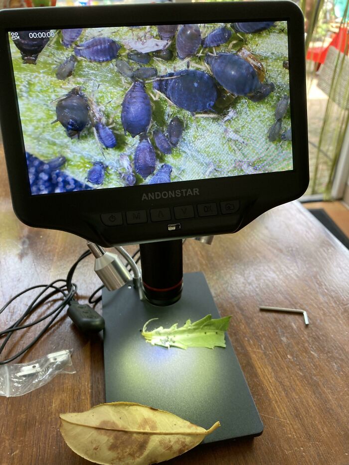 72 Unbelievable Microscope Images That Look Like They’re From Another Planet 72 Unbelievable Microscope Images That Look Like They’re From Another Planet