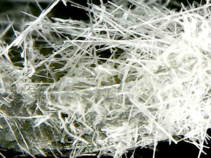 72 Unbelievable Microscope Images That Look Like They’re From Another Planet 72 Unbelievable Microscope Images That Look Like They’re From Another Planet