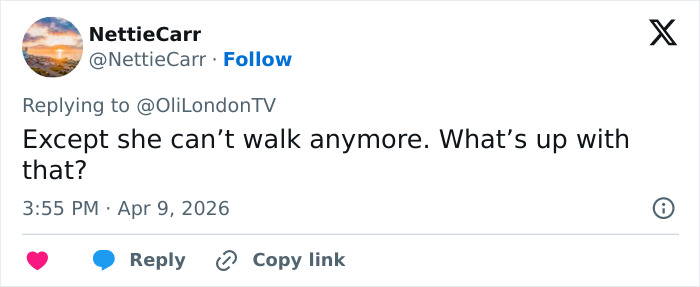 “Cheeks Always Show The Work”: Nicole Kidman Sparks Wild Reactions In Sheer Look At Premiere