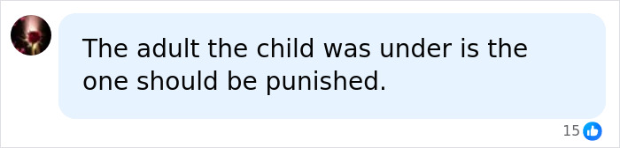 Legal Expert Reveals Chilling Reason 11-Year-Old Could Face First-Degree Homicide In Brother&rsquo;s Passing