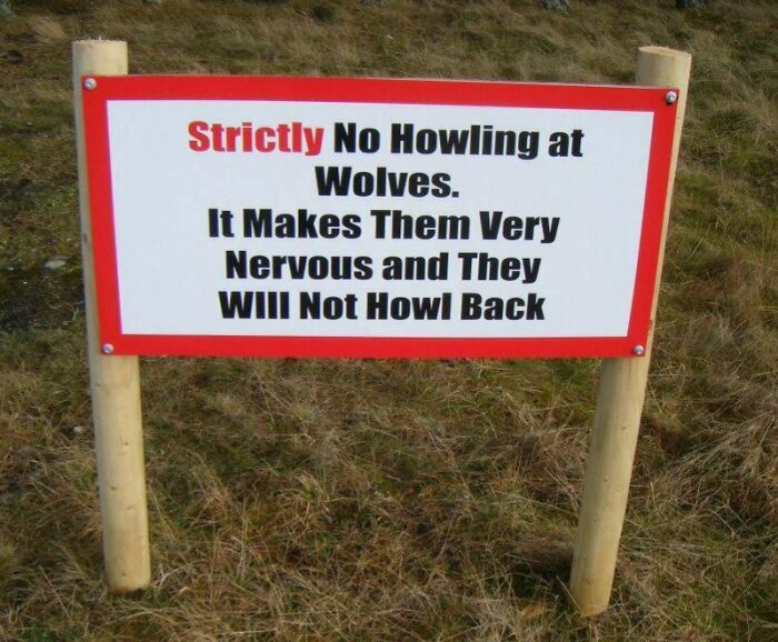 61 Funny Pieces Of Advice That Might Be Kinda Useless But Are Still Fun 61 Funny Pieces Of Advice That Might Be Kinda Useless But Are Still Fun