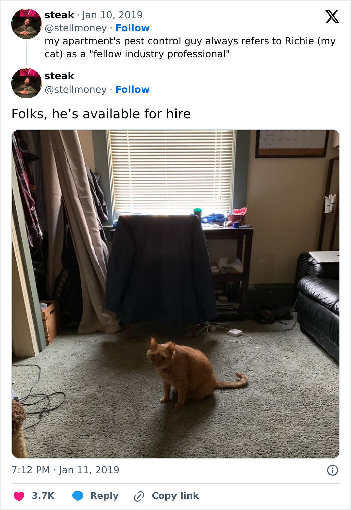 Capitalism Has Gone So Far, Even Cats Have Jobs These Days (83 Funny Pics) Capitalism Has Gone So Far, Even Cats Have Jobs These Days (83 Funny Pics)