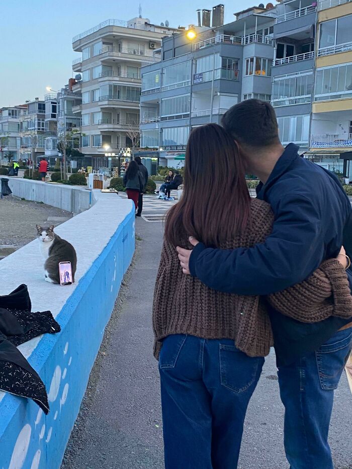 Capitalism Has Gone So Far, Even Cats Have Jobs These Days (83 Funny Pics) Capitalism Has Gone So Far, Even Cats Have Jobs These Days (83 Funny Pics)