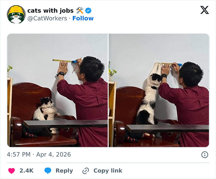 Capitalism Has Gone So Far, Even Cats Have Jobs These Days (83 Funny Pics) Capitalism Has Gone So Far, Even Cats Have Jobs These Days (83 Funny Pics)