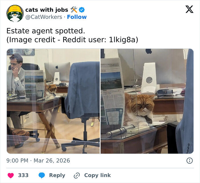 Capitalism Has Gone So Far, Even Cats Have Jobs These Days (83 Funny Pics) Capitalism Has Gone So Far, Even Cats Have Jobs These Days (83 Funny Pics)