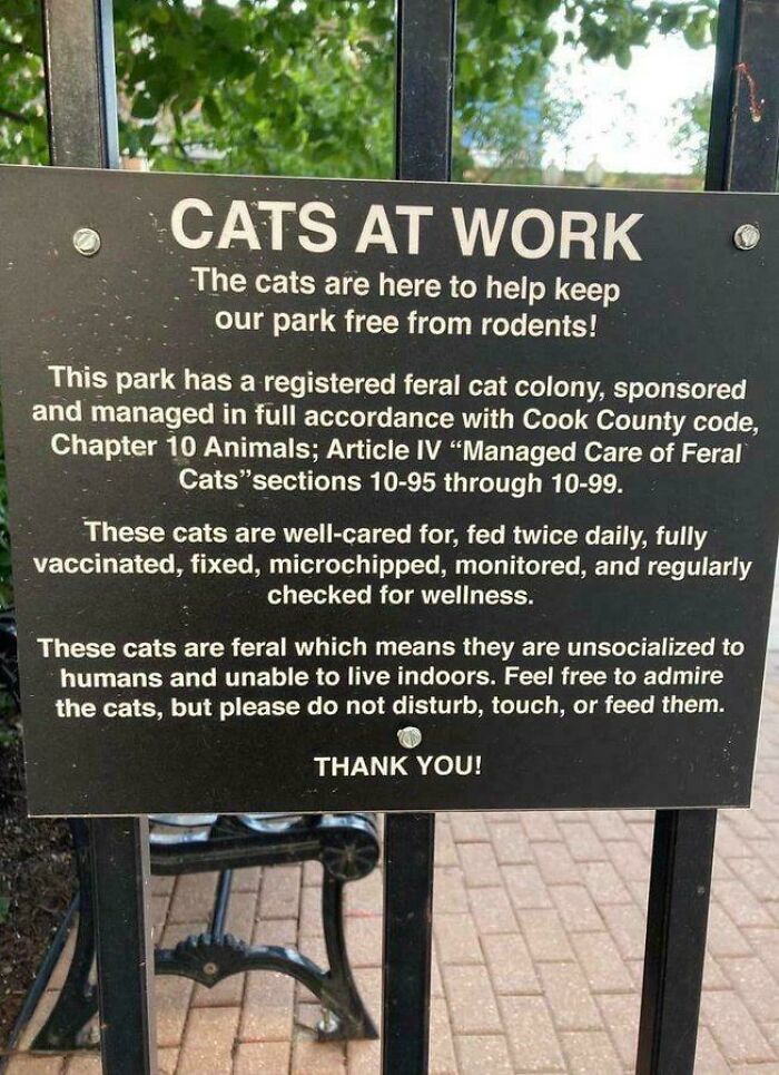 Capitalism Has Gone So Far, Even Cats Have Jobs These Days (83 Funny Pics) Capitalism Has Gone So Far, Even Cats Have Jobs These Days (83 Funny Pics)