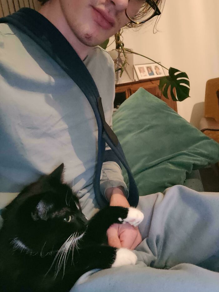 Capitalism Has Gone So Far, Even Cats Have Jobs These Days (83 Funny Pics) Capitalism Has Gone So Far, Even Cats Have Jobs These Days (83 Funny Pics)