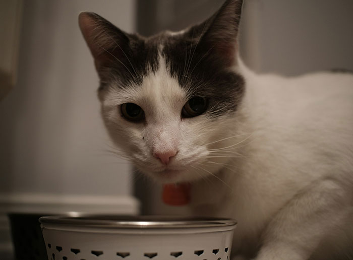 69 Fascinating And Unsettling Facts That Might Make People Wonder Why In The World Anyone  Would Know Them