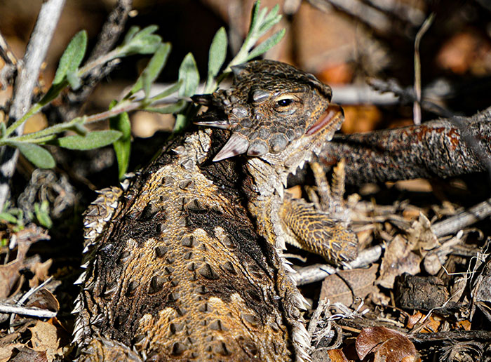 69 Fascinating And Unsettling Facts That Might Make People Wonder Why In The World Anyone  Would Know Them