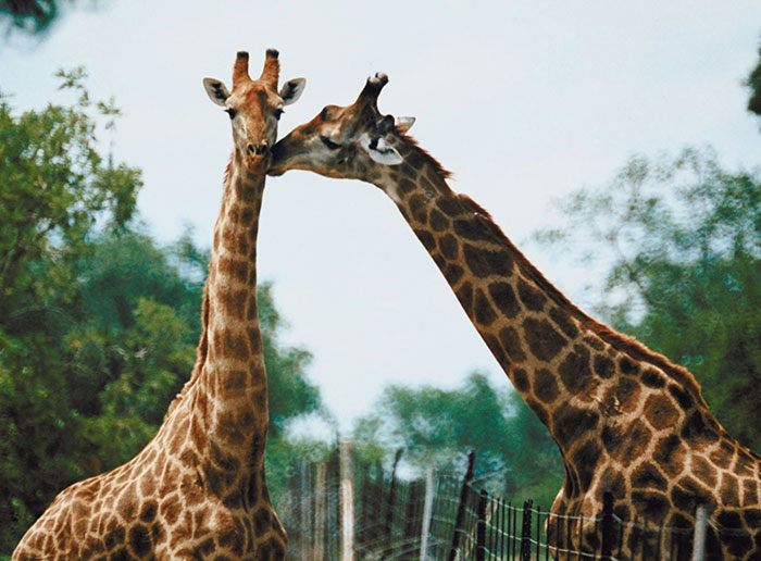 69 Fascinating And Unsettling Facts That Might Make People Wonder Why In The World Anyone  Would Know Them