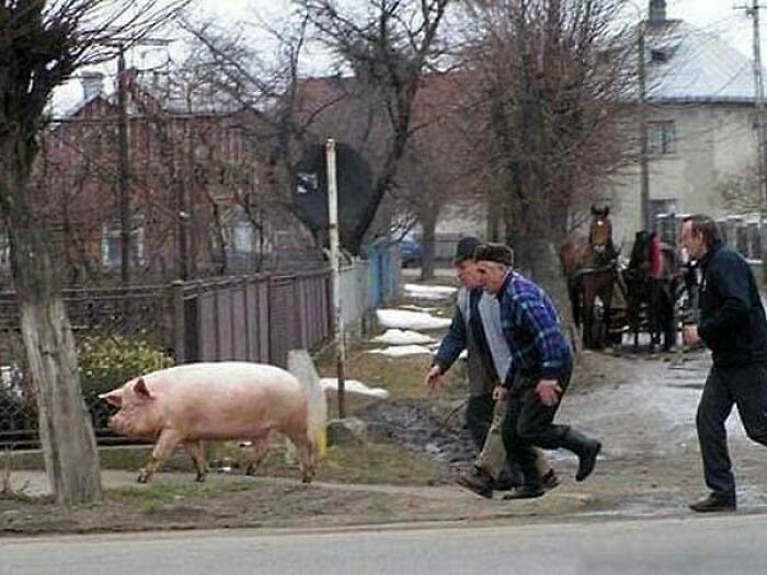 79 Hilariously Relatable Eastern European Memes That Feel Like Growing Up All Over Again (New Pics)