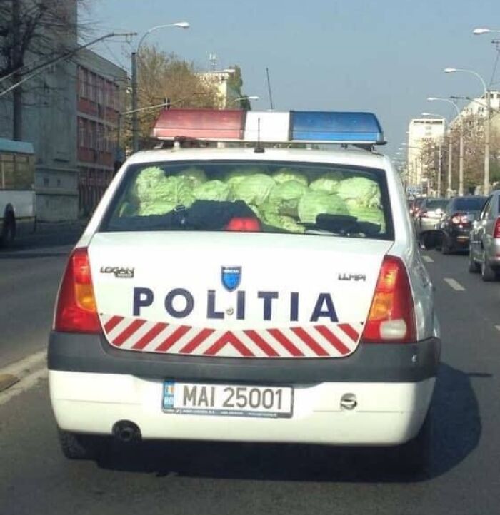 79 Hilariously Relatable Eastern European Memes That Feel Like Growing Up All Over Again (New Pics)