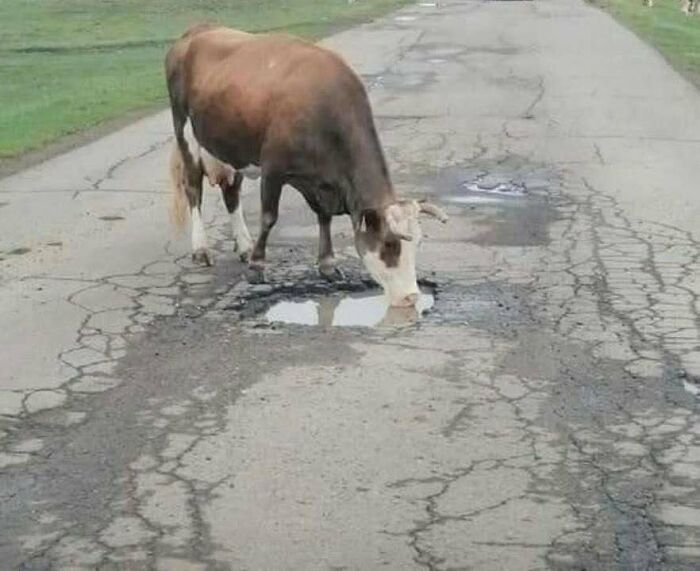 79 Hilariously Relatable Eastern European Memes That Feel Like Growing Up All Over Again (New Pics)