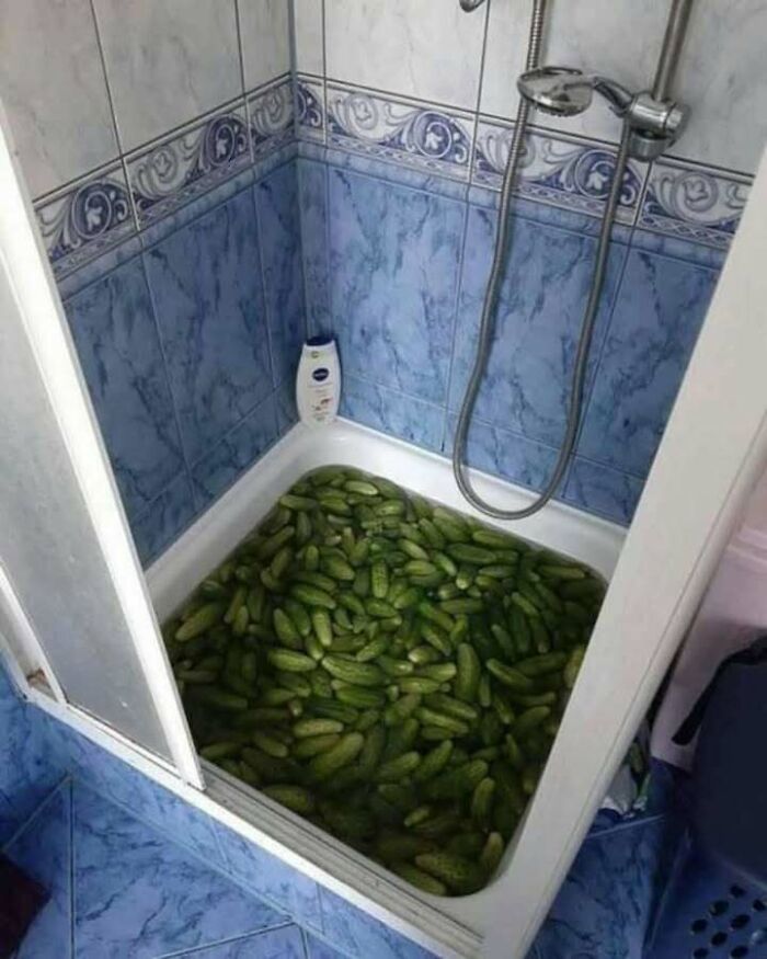 79 Hilariously Relatable Eastern European Memes That Feel Like Growing Up All Over Again (New Pics)