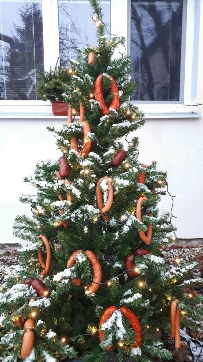 79 Hilariously Relatable Eastern European Memes That Feel Like Growing Up All Over Again (New Pics)