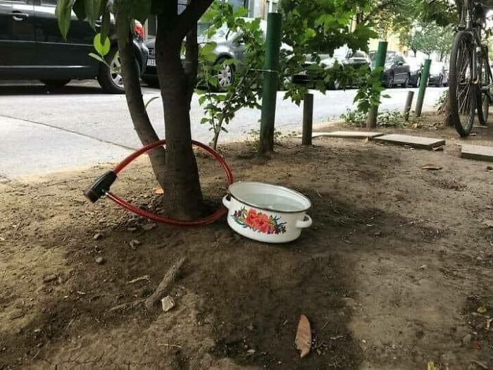 79 Hilariously Relatable Eastern European Memes That Feel Like Growing Up All Over Again (New Pics)