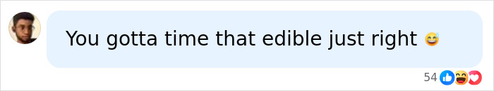 Natasha Lyonne Breaks Silence After Being Escorted Off Flight In Bizarre Scene