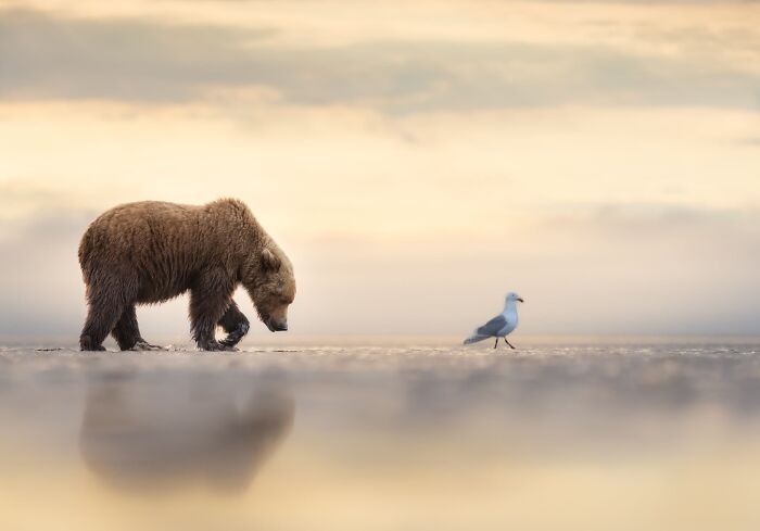 The Nature Photography Contest: 112 Stunning, Winning Photos From 2025