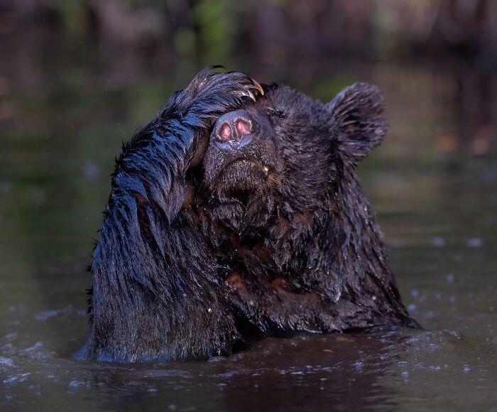 The Nature Photography Contest: 112 Stunning, Winning Photos From 2025