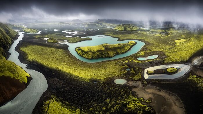 The Nature Photography Contest: 112 Stunning, Winning Photos From 2025