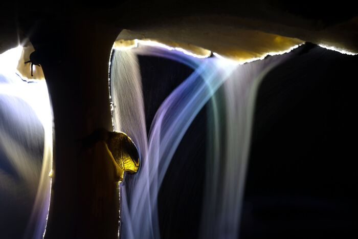 The Nature Photography Contest: 112 Stunning, Winning Photos From 2025