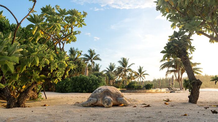 The Nature Photography Contest: 112 Stunning, Winning Photos From 2025