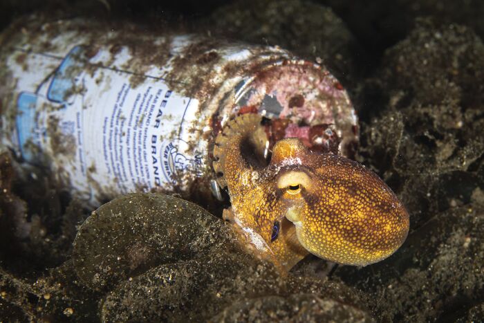 The Nature Photography Contest: 112 Stunning, Winning Photos From 2025