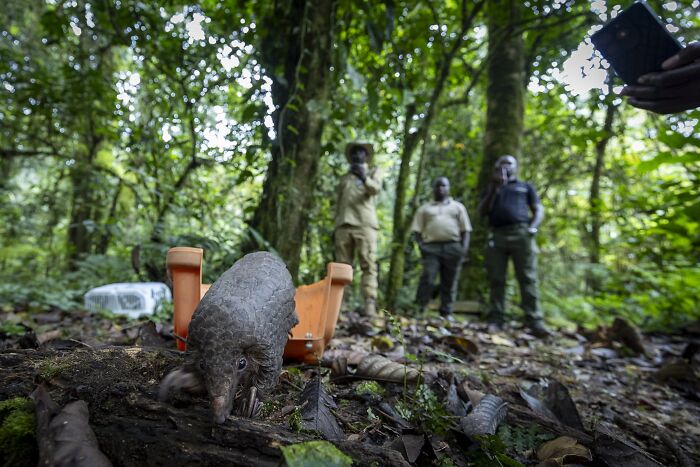 The Nature Photography Contest: 112 Stunning, Winning Photos From 2025