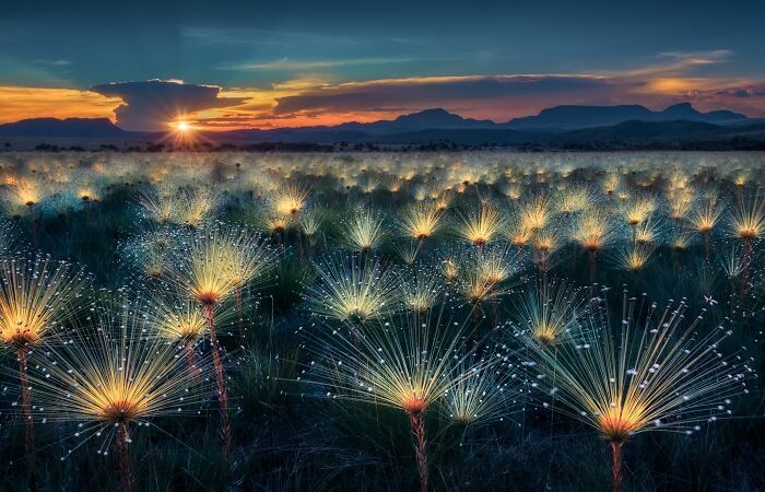 The Nature Photography Contest: 112 Stunning, Winning Photos From 2025