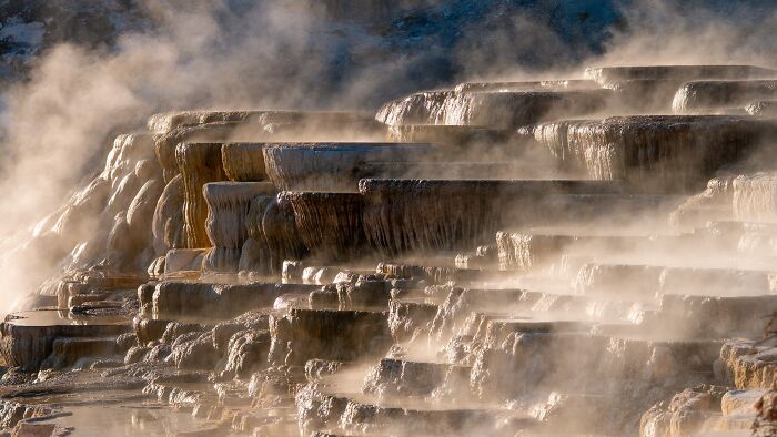 The Nature Photography Contest: 112 Stunning, Winning Photos From 2025