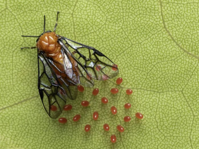 The Nature Photography Contest: 112 Stunning, Winning Photos From 2025