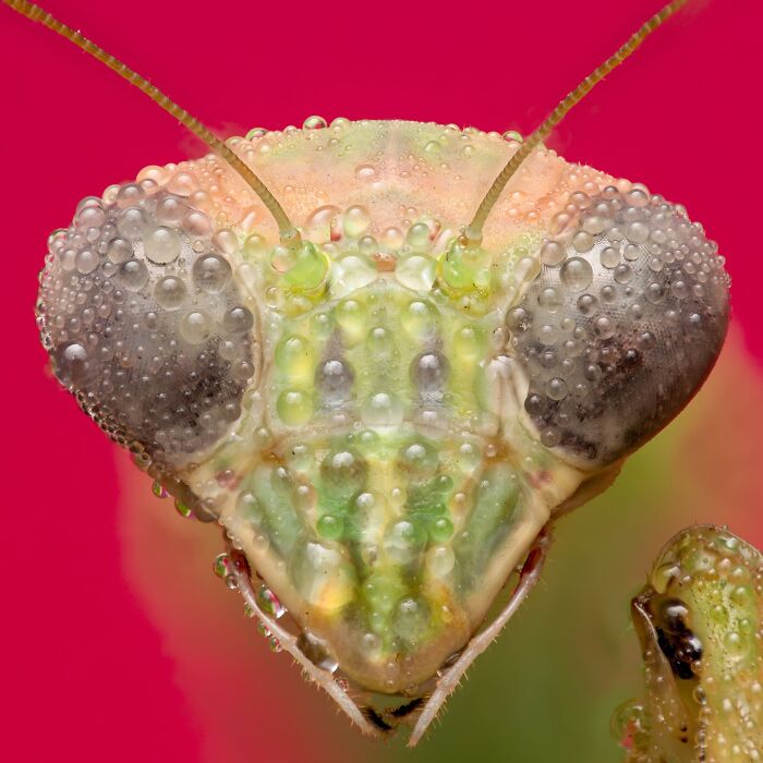 The Nature Photography Contest: 112 Stunning, Winning Photos From 2025