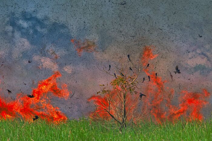 The Nature Photography Contest: 112 Stunning, Winning Photos From 2025