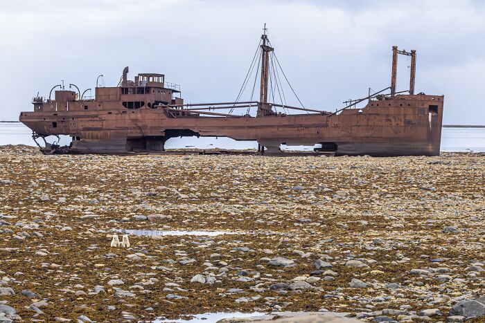 The Nature Photography Contest: 112 Stunning, Winning Photos From 2025