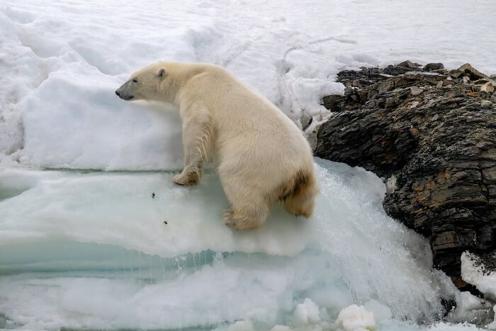 The Nature Photography Contest: 112 Stunning, Winning Photos From 2025