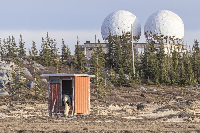 The Nature Photography Contest: 112 Stunning, Winning Photos From 2025