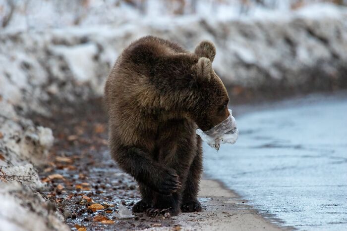 The Nature Photography Contest: 112 Stunning, Winning Photos From 2025