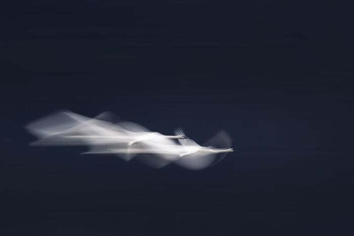 The Nature Photography Contest: 112 Stunning, Winning Photos From 2025