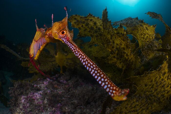 The Nature Photography Contest: 112 Stunning, Winning Photos From 2025