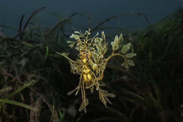 The Nature Photography Contest: 112 Stunning, Winning Photos From 2025