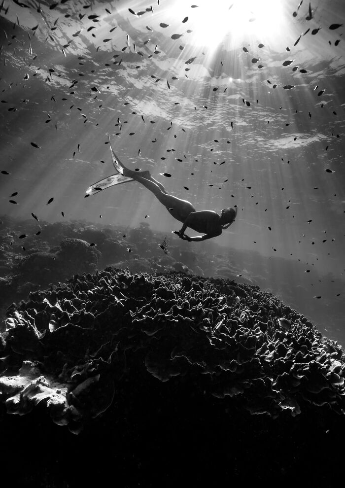 The Nature Photography Contest: 112 Stunning, Winning Photos From 2025