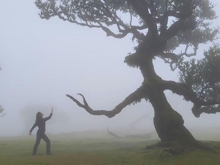 The Nature Photography Contest: 112 Stunning, Winning Photos From 2025