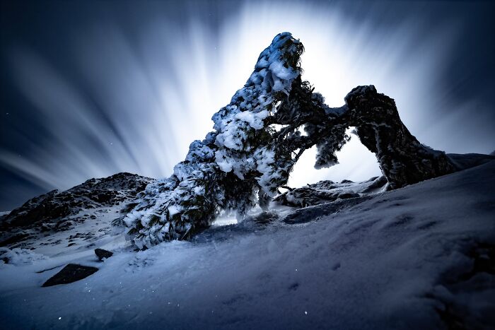 The Nature Photography Contest: 112 Stunning, Winning Photos From 2025