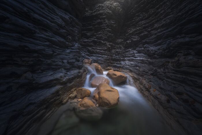 The Nature Photography Contest: 112 Stunning, Winning Photos From 2025