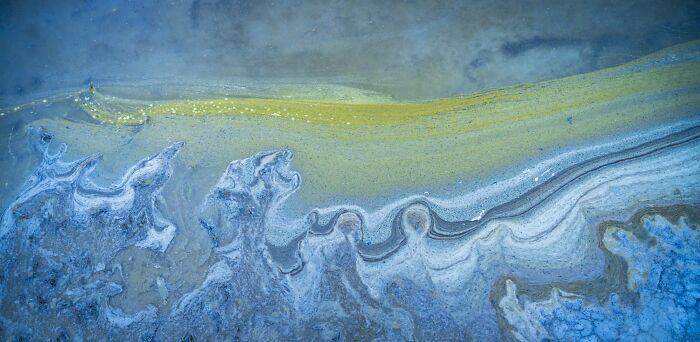 The Nature Photography Contest: 112 Stunning, Winning Photos From 2025