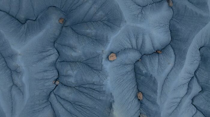 The Nature Photography Contest: 112 Stunning, Winning Photos From 2025