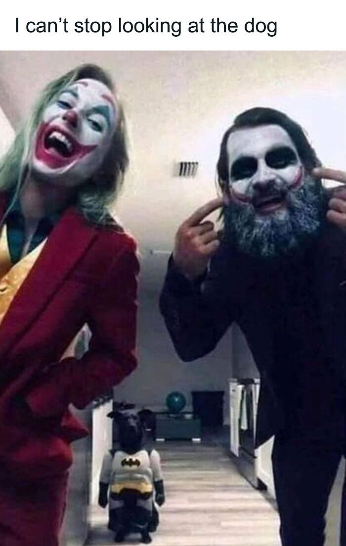 61 Hilarious Memes Featuring Cute, Funny And Mischevious Dogs 61 Hilarious Memes Featuring Cute, Funny And Mischevious Dogs