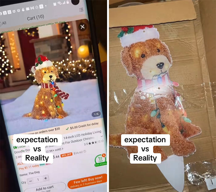 49 Times People Ordered Something From Temu And Learned A Hilarious Lesson 49 Times People Ordered Something From Temu And Learned A Hilarious Lesson