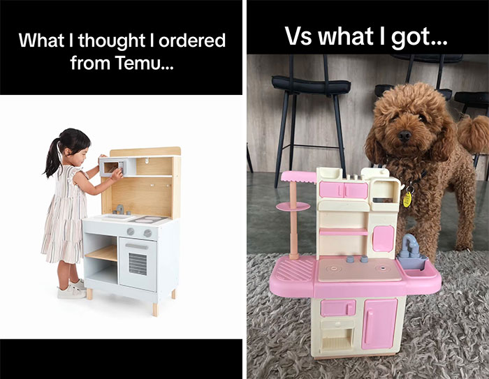 49 Times People Ordered Something From Temu And Learned A Hilarious Lesson 49 Times People Ordered Something From Temu And Learned A Hilarious Lesson